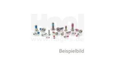 Befestigungsschrauben