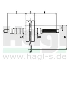 kurbelwelle-jasil-original-ausfuehrung-fuer-sr50-ditec-100-03-124.jpg